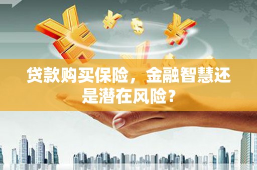 皇姑贷款购买保险，金融智慧还是潜在风险？