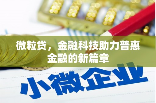 皇姑微粒贷，金融科技助力普惠金融的新篇章