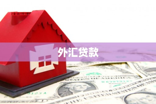 皇姑外汇贷款