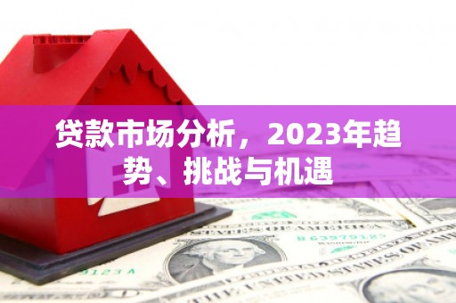 皇姑贷款市场分析，2023年趋势、挑战与机遇