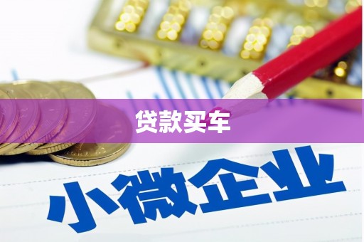 皇姑贷款买车
