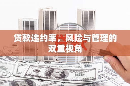 皇姑贷款违约率，风险与管理的双重视角