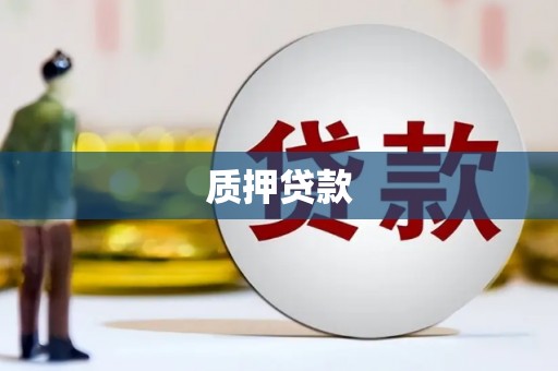 皇姑质押贷款