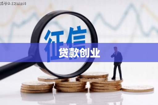 皇姑贷款创业