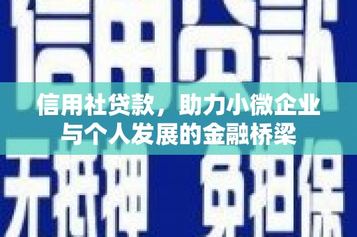 皇姑信用社贷款，助力小微企业与个人发展的金融桥梁