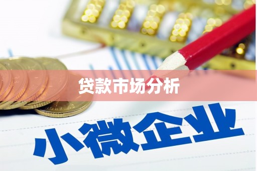 皇姑贷款市场分析