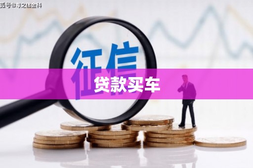 皇姑贷款买车