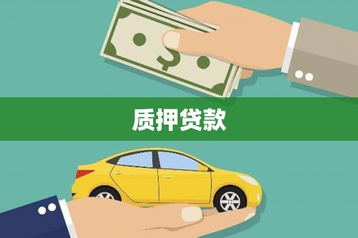 皇姑质押贷款