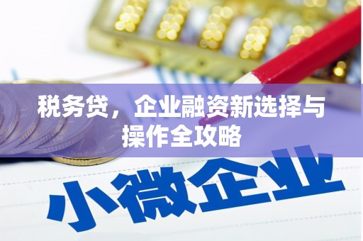 皇姑税务贷，企业融资新选择与操作全攻略