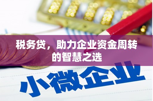 皇姑税务贷，助力企业资金周转的智慧之选