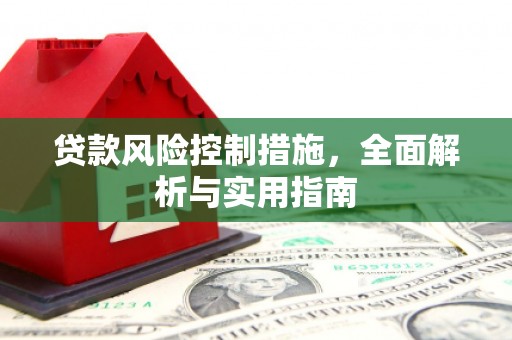 皇姑贷款风险控制措施，全面解析与实用指南