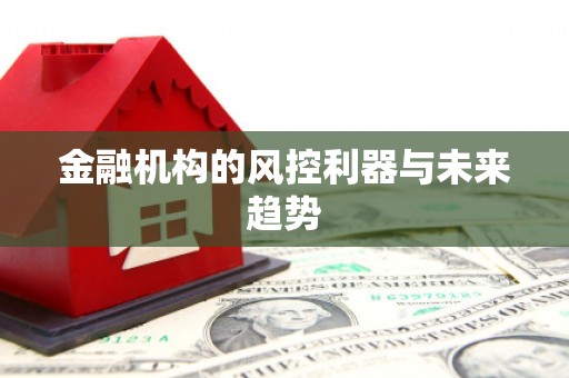皇姑金融机构的风控利器与未来趋势