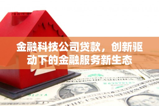 皇姑金融科技公司贷款，创新驱动下的金融服务新生态