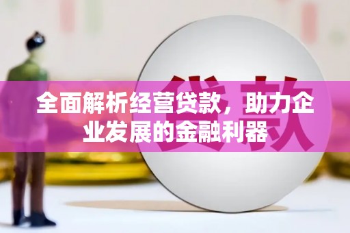 皇姑全面解析经营贷款，助力企业发展的金融利器