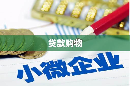 皇姑贷款购物