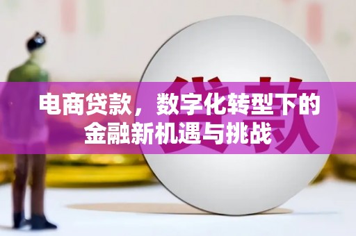皇姑电商贷款，数字化转型下的金融新机遇与挑战