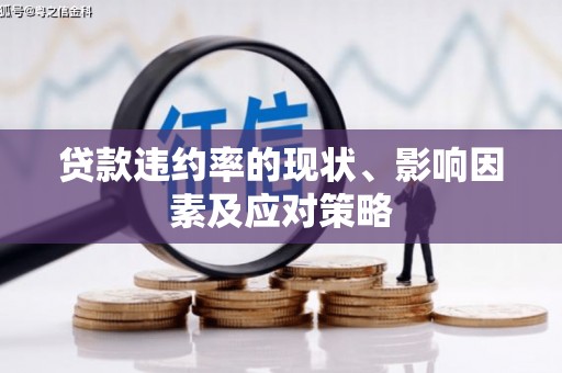 皇姑贷款违约率的现状、影响因素及应对策略