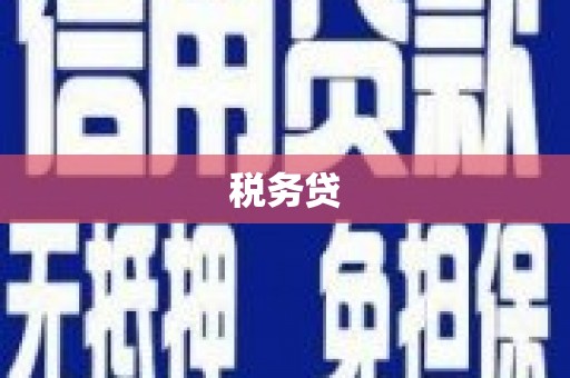 皇姑税务贷