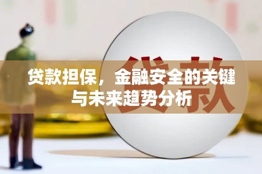 皇姑贷款担保，金融安全的关键与未来趋势分析