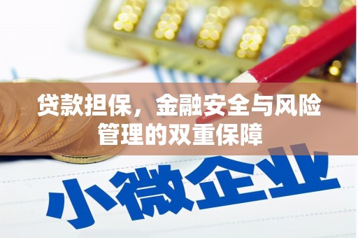皇姑贷款担保，金融安全与风险管理的双重保障
