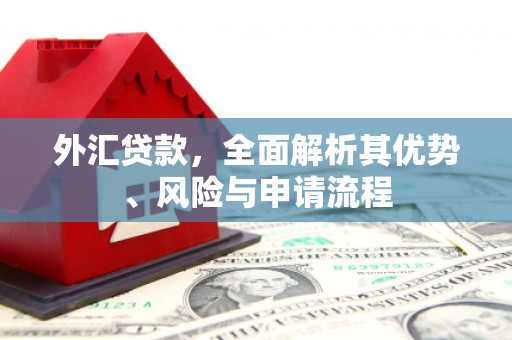 皇姑外汇贷款，全面解析其优势、风险与申请流程