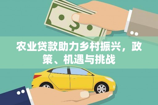 皇姑农业贷款助力乡村振兴，政策、机遇与挑战