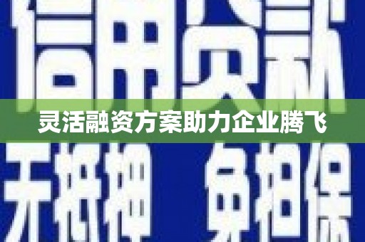 皇姑灵活融资方案助力企业腾飞