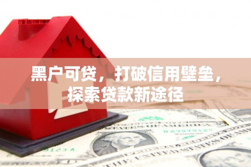 皇姑黑户可贷，打破信用壁垒，探索贷款新途径