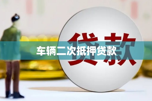 皇姑车辆二次抵押贷款