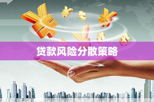 皇姑贷款风险分散策略