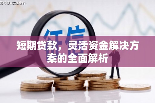 皇姑短期贷款，灵活资金解决方案的全面解析