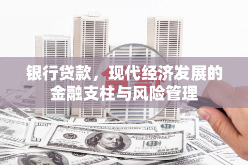皇姑银行贷款，现代经济发展的金融支柱与风险管理
