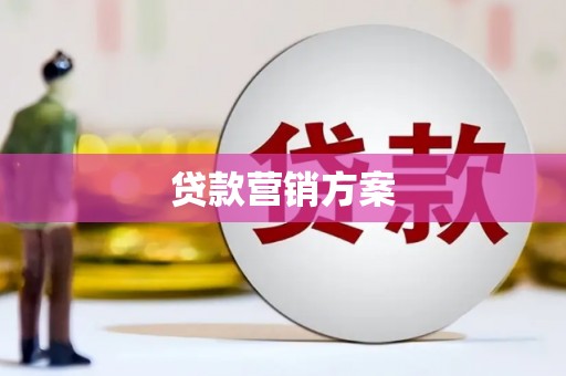 皇姑贷款营销方案