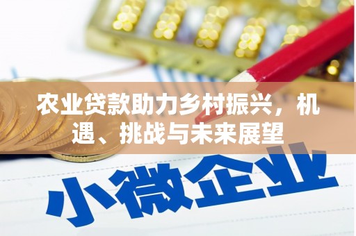 皇姑农业贷款助力乡村振兴，机遇、挑战与未来展望