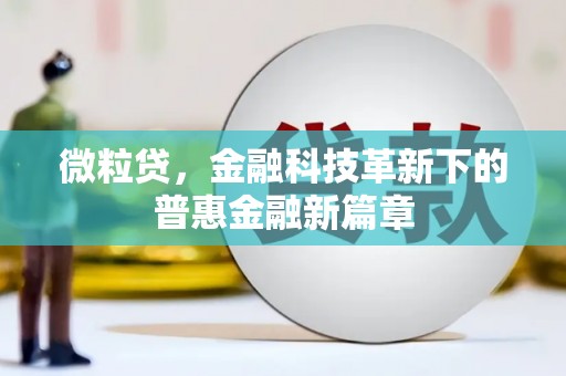皇姑微粒贷，金融科技革新下的普惠金融新篇章