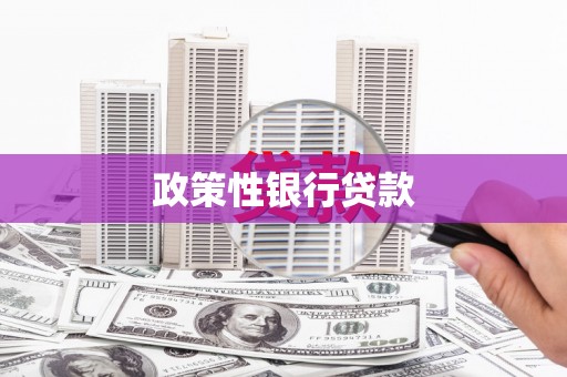 皇姑政策性银行贷款