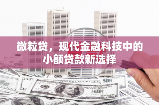 皇姑微粒贷，现代金融科技中的小额贷款新选择