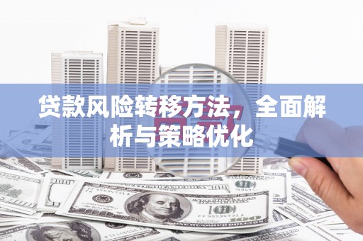 皇姑贷款风险转移方法，全面解析与策略优化