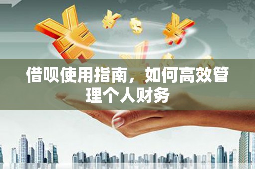 皇姑借呗使用指南，如何高效管理个人财务