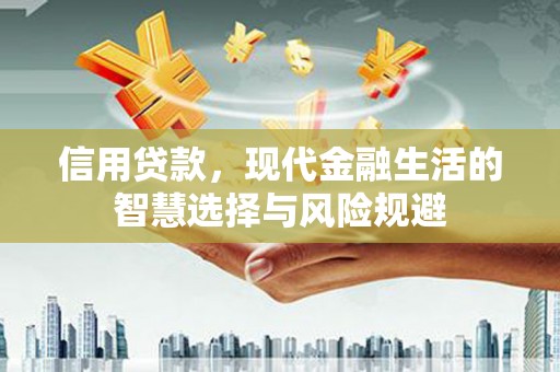 皇姑信用贷款，现代金融生活的智慧选择与风险规避