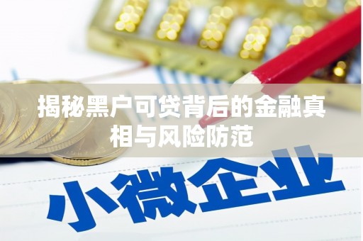 皇姑揭秘黑户可贷背后的金融真相与风险防范