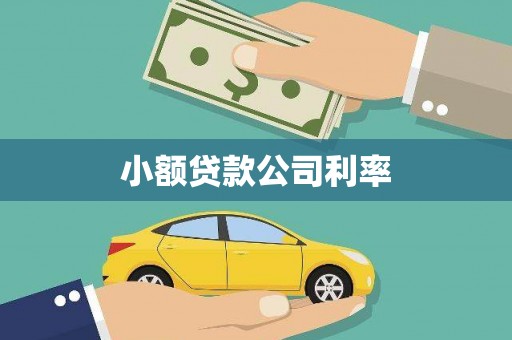 皇姑小额贷款公司利率