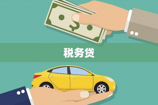 皇姑税务贷