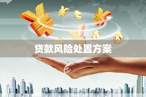 皇姑贷款风险处置方案