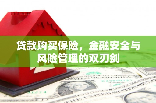皇姑贷款购买保险，金融安全与风险管理的双刃剑