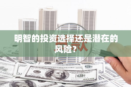 皇姑明智的投资选择还是潜在的风险？