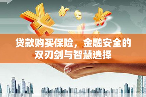 皇姑贷款购买保险，金融安全的双刃剑与智慧选择