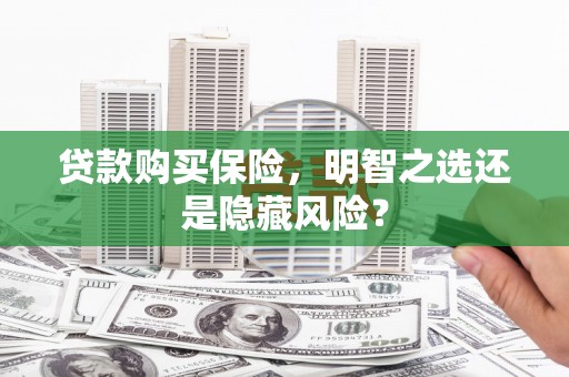 皇姑贷款购买保险，明智之选还是隐藏风险？