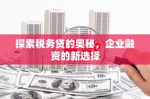 皇姑探索税务贷的奥秘，企业融资的新选择
