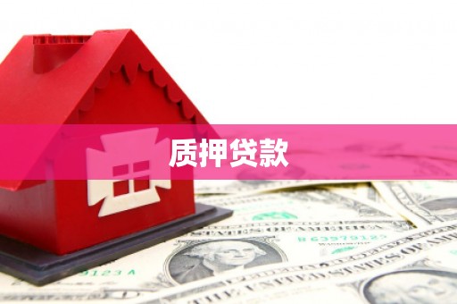 皇姑质押贷款